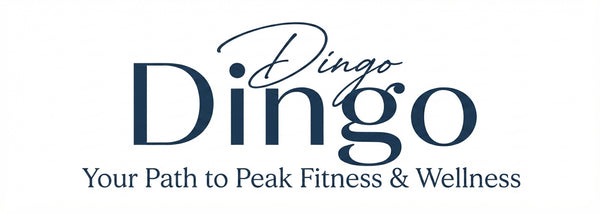 Dingo